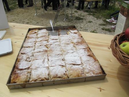 Pomlad v prleških goricah 2013 12